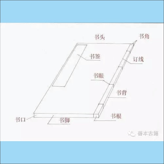 240222古籍基础知识：古籍的书页版式与装订版式.cdr_0010.JPG