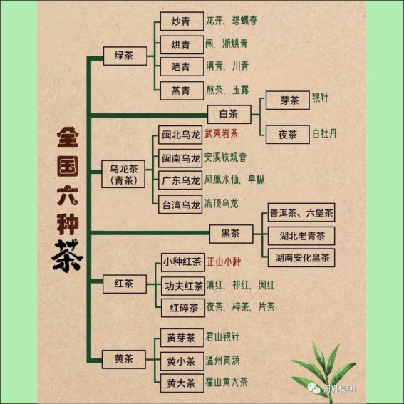 231115茶文化基本知识.cdr_0037.JPG