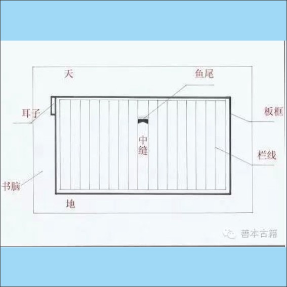 240222古籍基础知识：古籍的书页版式与装订版式.cdr_0003.JPG