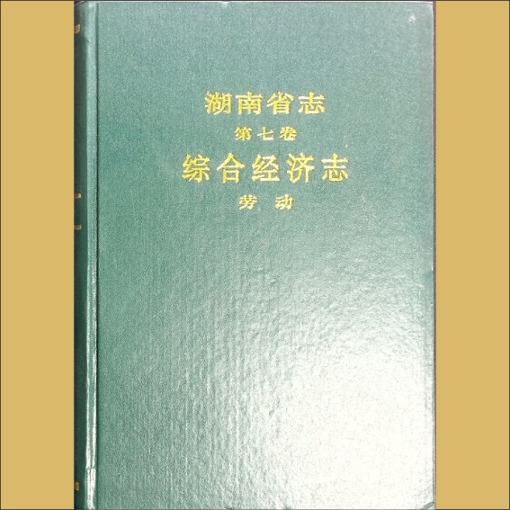 湖南0省志007-002《湖南省志》（第007卷  综合经济志  02劳动）1.cdr_0001.JPG