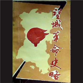 望城革命史略：中共望城县委党史办编，内部版，1992年6月印刷，黄康胤捐赠，清泉书院珍藏