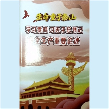 安全生产《生命重于泰山——学习贯彻习近平总书记安全生产重要论述》：2020版，图文并茂彩色画册，全套