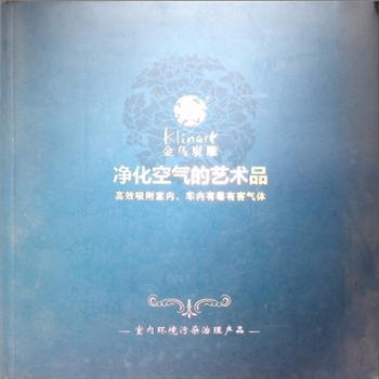 长沙文象环保科技有限公司《金乌炭雕：净化空气的艺术品》：企业与产品简介，室内环境污染治理产品，约