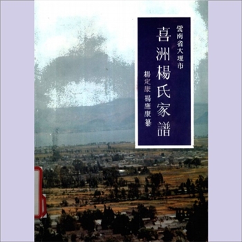 杨-云南大理-大理市喜州镇喜洲杨氏2000版《喜洲杨氏家谱》：杨定康、杨应康纂，始祖为南诏布燮杨生名，传一