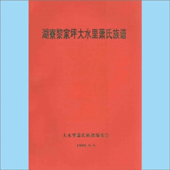 萧-广东梅州-大埔县湖寮黎家坪大水里萧氏1999版《湖寮黎家坪大水里萧氏族谱》：上溯兰陵萧氏萧何公。始