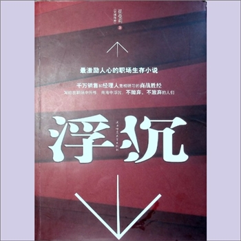 京城洛神《浮沉》：最激励人心的职场生存小说，崔蔓莉（京城洛神）著，陕西师范大学出版社2008年5月第1