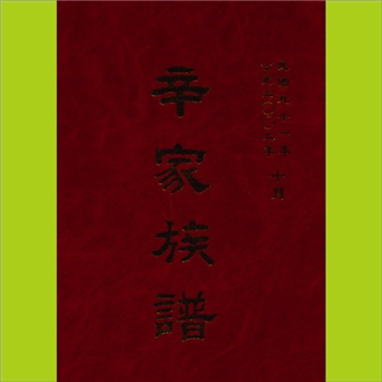 辛-台湾澎湖岛湖西社辛氏2002版《辛家族谱》